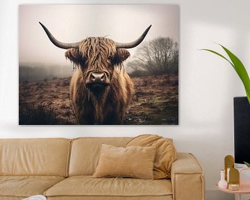 Portrait of a Scottish Highland cattle in the pasture