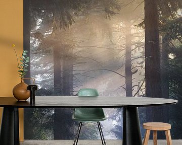 Fairytale forest in morning light by Maayke Klaver