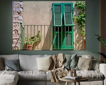 Groene luiken en cactus op balkon in Toscane van Dick de Gelder