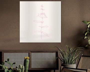 Romantic botanical drawing in neon pink on white no. 3 by Dina Dankers