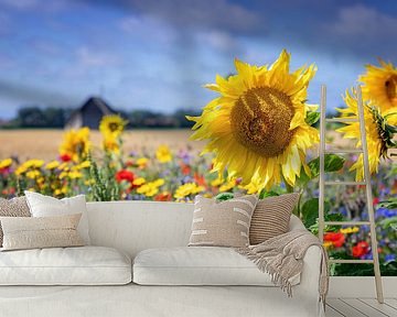 Sonnenblume. von Justin Sinner Pictures ( Fotograaf op Texel)