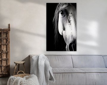 Photo portrait d'un cheval