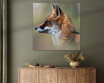 Portrait of a fox by Gianni Argese