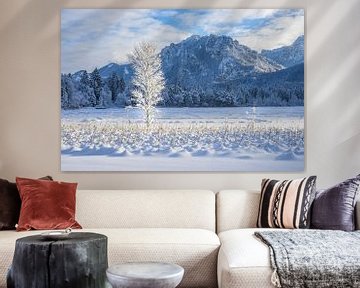 Schwansee in winter, with Neuschwanstein Castle and the Tegelberg behind it by Walter G. Allgöwer