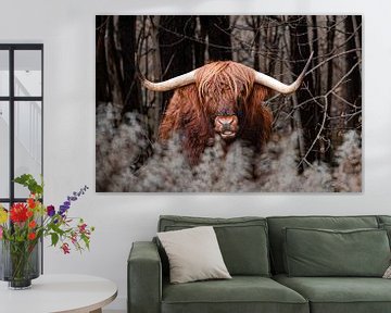 Bœuf orange sauvage dans la forêt sombre sur Troy Wegman