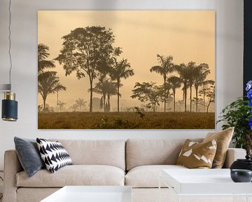 Silhouettes d'arbres et de palmiers sur Anna Martin