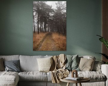 Forest path in mist with beautiful winter grasses