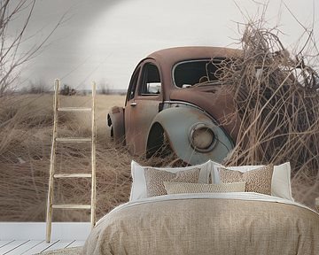 Der vergessene VW Käfer