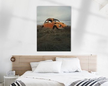 La Coccinelle VW oubliée