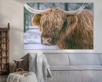 Scottish Highlander cattle in the snow during winter by Sjoerd van der Wal Photography