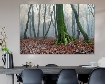 Forêt brumeuse lors d'une journée d'hiver brumeuse et légèrement enneigée sur Sjoerd van der Wal Photographie