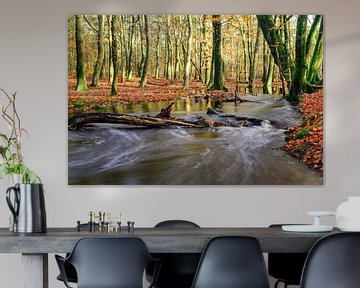 Langzaam stromende beek in een beukenbos tijdens de herfst van Sjoerd van der Wal Fotografie