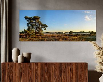 Lever de soleil dans la réserve naturelle de sable dérivant de Hulshorsterzand sur Sjoerd van der Wal Photographie