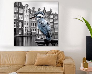 Bird in Amsterdam by Thilo Wagner