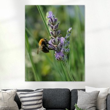 Sensation de printemps