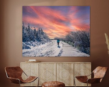 Langlaufen in het wintersportgebied Erzgebirge op de Fichtelberg van Animaflora PicsStock