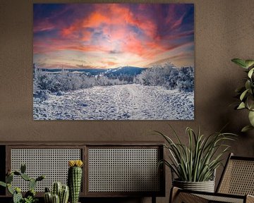 Fantastique journée d'hiver dans les monts Métallifères avec neige et coucher de soleil sur Animaflora PicsStock