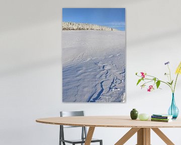 Een besneeuwd veld na de storm van Claude Laprise