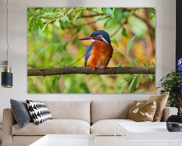 kingfisher on a branch by Mei-Nga Smit-Wu