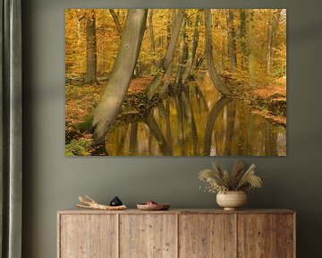 Herfst bos met beek van Paul van Gaalen, natuurfotograaf