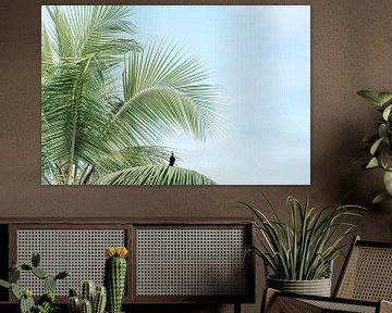 Palme | Vogel | Kunstdruck | Fotodruck von Femke Ketelaar