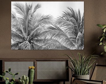 Palme | Fine Art | Schwarz-Weiß | Fotodruck von Femke Ketelaar