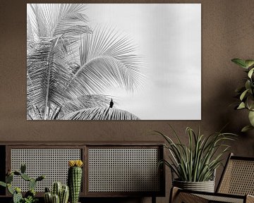 Palm | vogel | fine art | zwart wit | foto print van Femke Ketelaar