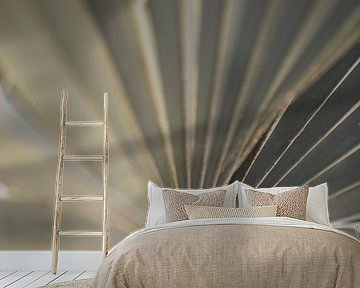 Palm | fine art | close-up | photo print by Femke Ketelaar