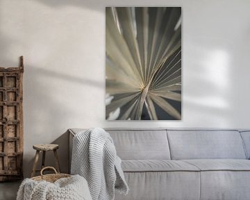 Palme | Fine Art | Nahaufnahme | Fotodruck von Femke Ketelaar