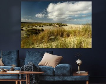 Dünen am Meer. Wattenmeer von Paul van Gaalen, natuurfotograaf