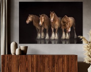 vier keer hetzelfde paard | paardenfotografie | gypsy horse van Laura Dijkslag