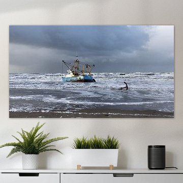 Shrimp cutter stranded in Zandvoort