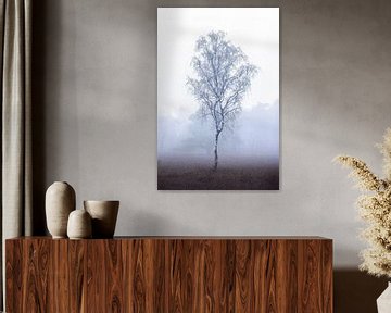 Eenzame berk in de mist | boom | minimalistische fotografie | fotobehang van Laura Dijkslag