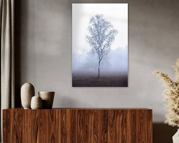 Eenzame berk in de mist | boom | minimalistisch van Laura Dijkslag