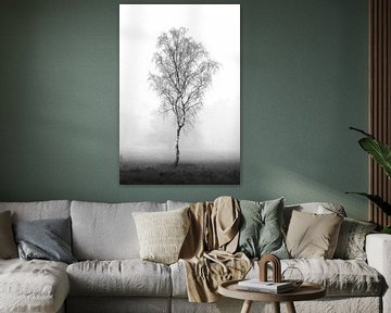 Bouleau solitaire dans la brume | arbre | minimaliste | noir et blanc sur Laura Dijkslag
