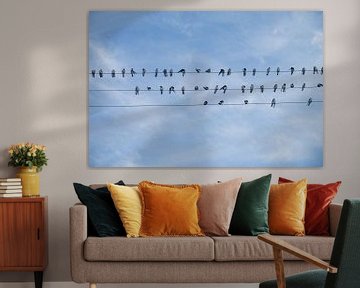 Swallows on a power line in in Puyuhuapi on the carretera austral. by Kevin Pluk