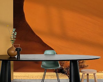 Acaciaboom voor hoge zandduin in de Namibwoestijn, Namibië