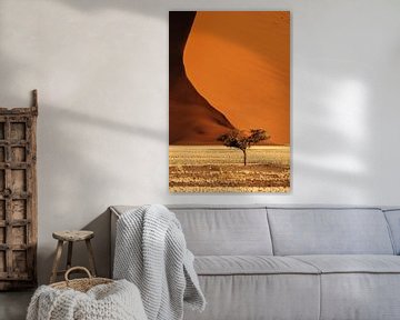 Akazienbaum vor einer hohen Sanddüne in der Namib-Wüste, Namibia von Jan Bouma