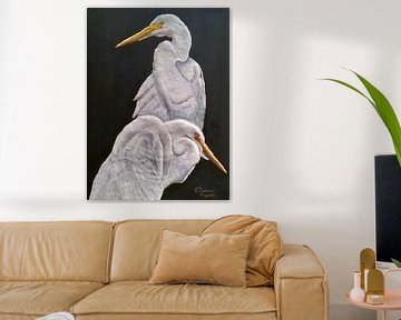 Witte Reigers (White Cattle Egret) van Floris Betrouw