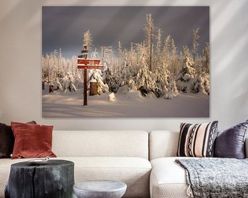 Winterwandelen van Steffen Henze