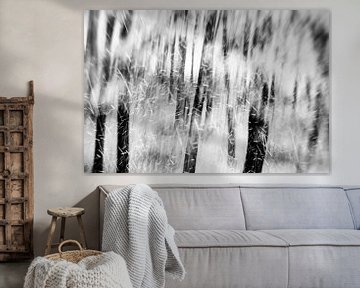 Bäume im Schnee in Schwarz und Weiß von Imaginative