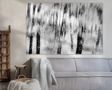 Arbres dans la neige en noir et blanc sur Imaginative