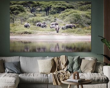 Groupe d'éléphants au bord de l'eau en Tanzanie sur Stories by Dymph