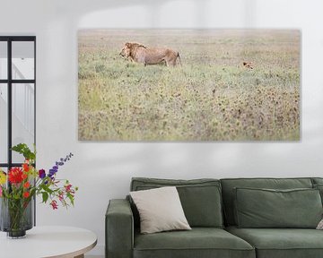 Lion et lionne dans les hautes herbes du Serengeti sur Stories by Dymph