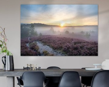 Mistige zonsopkomst op de heide van John van de Gazelle fotografie