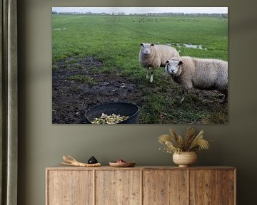 Deux moutons dans le pré sur Alida Stam-Honders