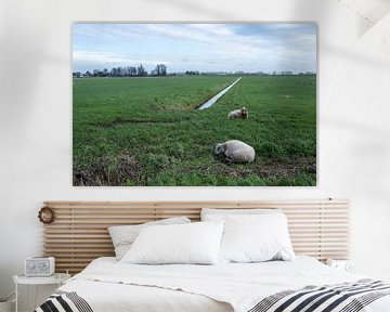 Moutons dans les polders néerlandais sur Alida Stam-Honders