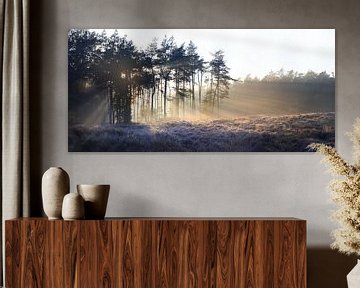 Forest panorama II by Maayke Klaver