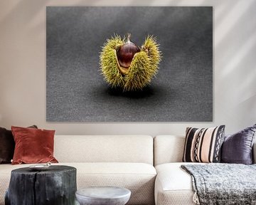 Sweet chestnut