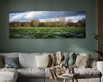 Panorama du ruisseau Common Meadow